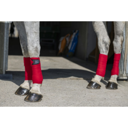 Bandes polo riding world...