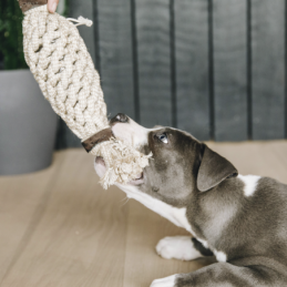 Jouet pour chien en corde et coton-ACCESSOIRES CANINS