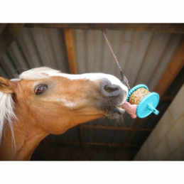 Likit granola 650g-Friandises pour chevaux