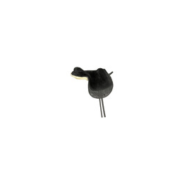 Selle mouton noir