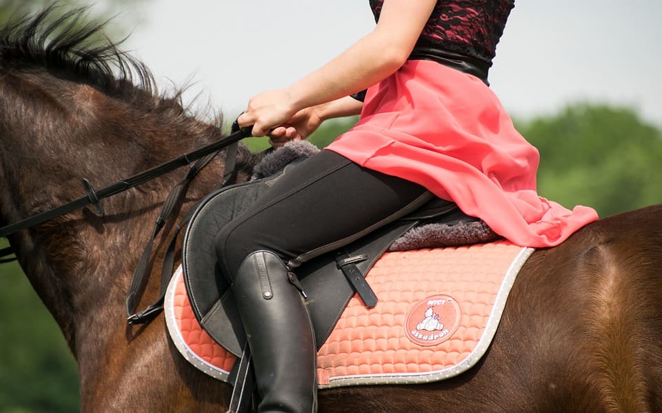 Tapis de selle : guide complet pour bien choisir