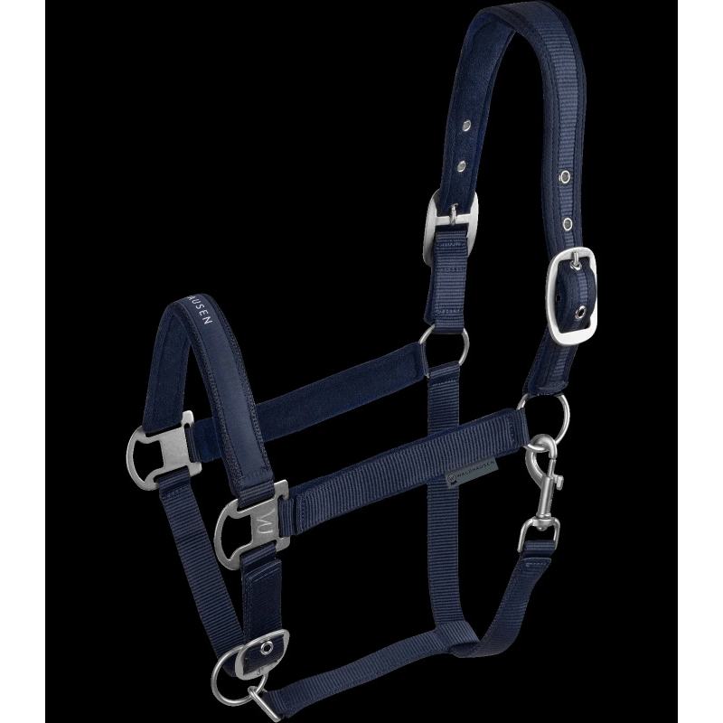 Types de licols pour chevaux : guide d'achat complet