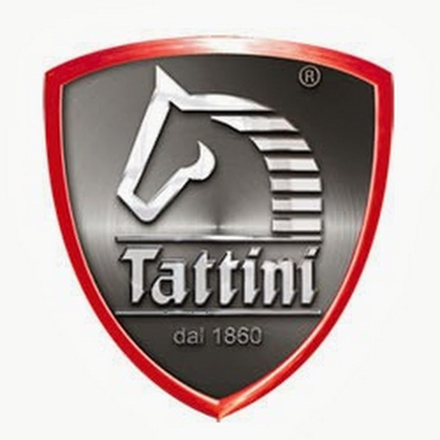 TATTINI